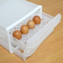 Tempat Penyimpanan Telur isi 60 slot / Rak Telur Plastik / Egg Storage