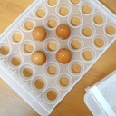 Tempat Penyimpanan Telur isi 60 slot / Rak Telur Plastik / Egg Storage